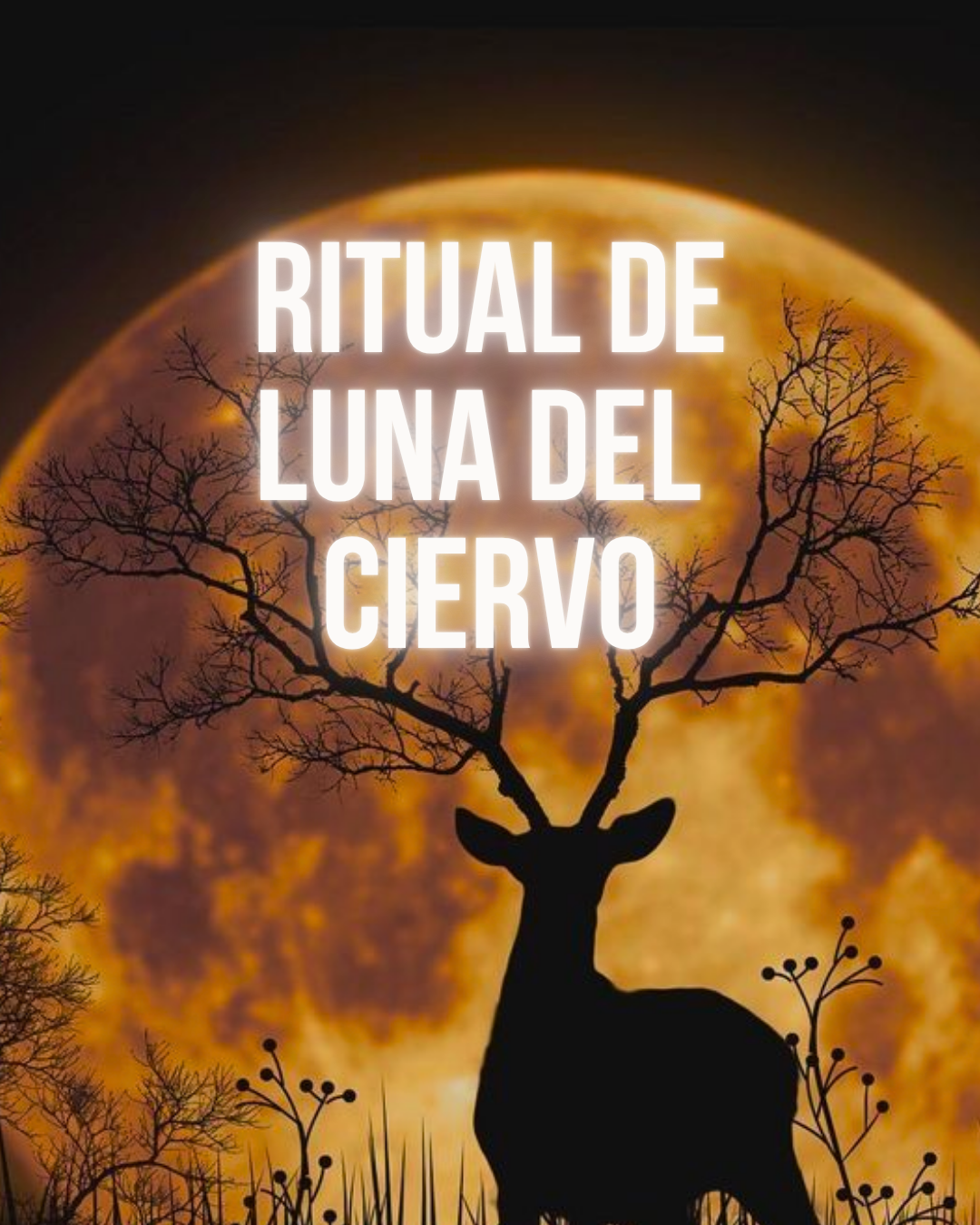 Ritual de Luna del Ciervo